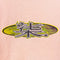 Flame Dragon Skate Surf  T-Shirt Jem Sportswear