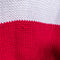 Polo Ralph Lauren 1987 Cross Flags Sweater Colorblock Lo