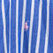 Polo Ralph Lauren Pony Blaire Striped Button Down Shirt