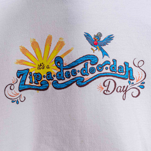 Disney Splash Mountain Brer Rabbit Hoodie Zip A Dee Doo Dah Day