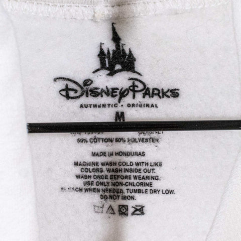 Disney Splash Mountain Brer Rabbit Hoodie Zip A Dee Doo Dah Day