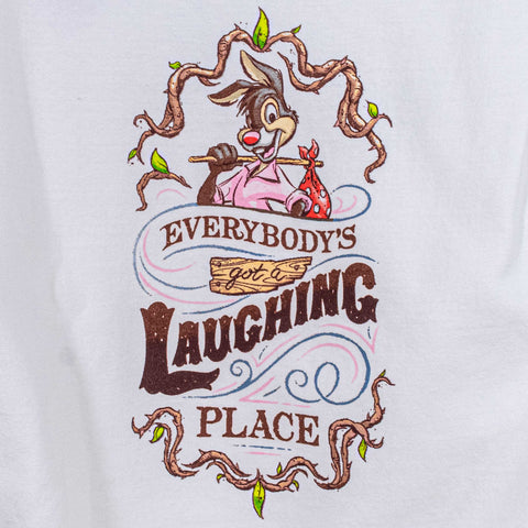 Disney Splash Mountain Brer Rabbit Hoodie Zip A Dee Doo Dah Day