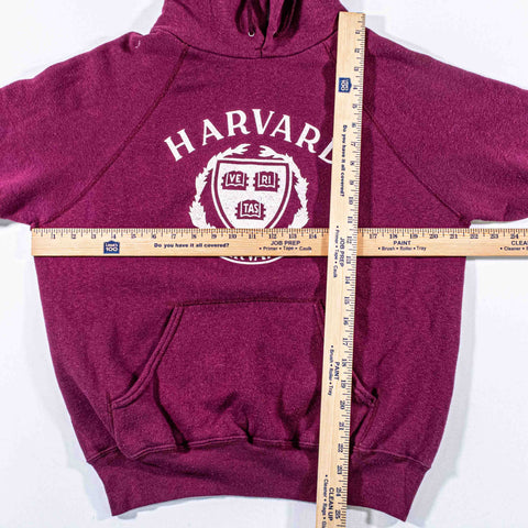 Champion Harvard Raglan Hoodie Sweatshirt