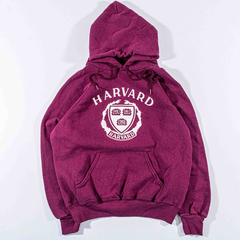 Champion Harvard Raglan Hoodie Sweatshirt