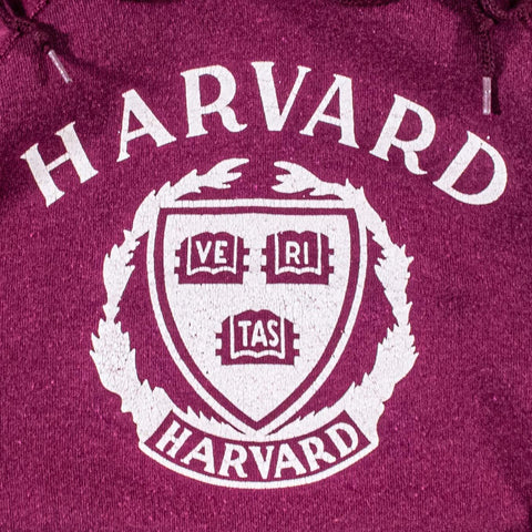 Champion Harvard Raglan Hoodie Sweatshirt