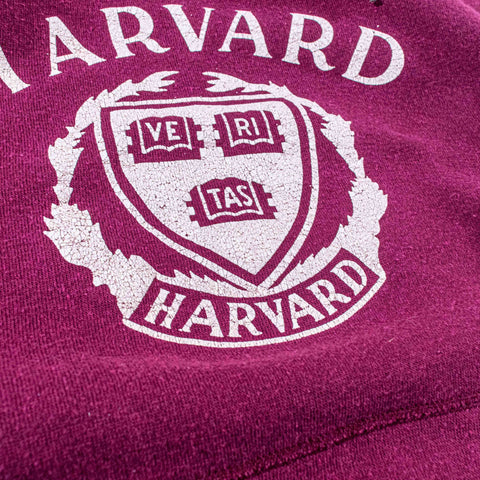Champion Harvard Raglan Hoodie Sweatshirt