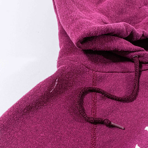 Champion Harvard Raglan Hoodie Sweatshirt