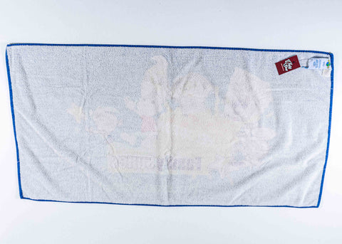 Universal Studios Nickelodeon Spongebob Fairly Odd Parents Jimmy Neutron Towel