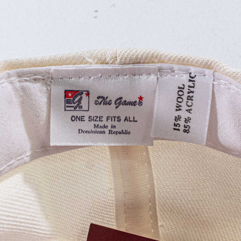 USA Stars & Stripes The Game Snapback Hat