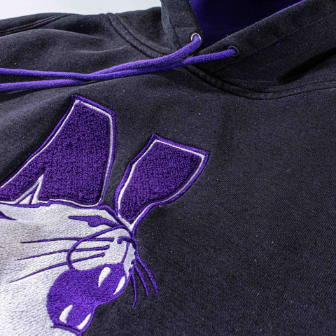 Northwestern Wildcats Hoodie Sweatshirt