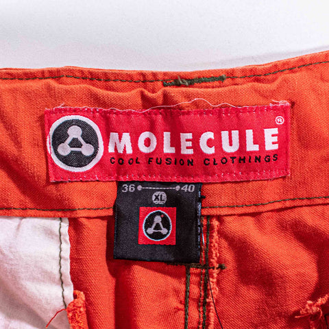 Molecule Cargo Shorts Baggy