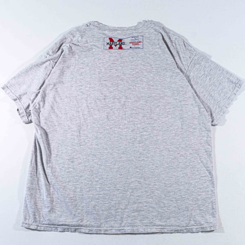 Champion Maryland Terrapins Big Print T-Shirt