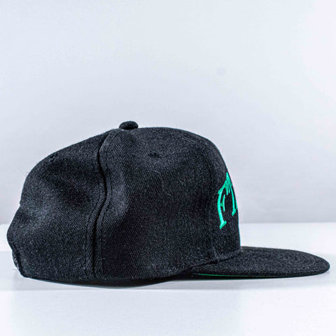 Fort Greene Brooklyn Snapback Hat Youngan