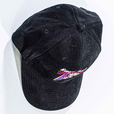 Newark Bears Opening Day Snapback Hat Spotlight