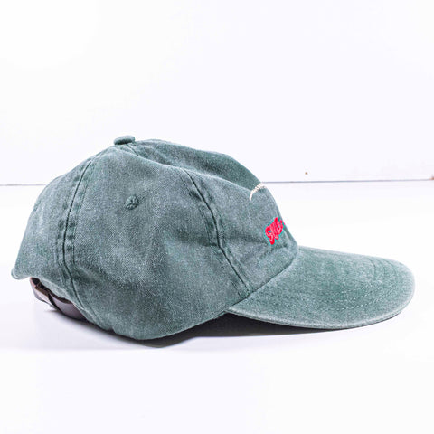 Sue The T-Rex Field Museum Hat
