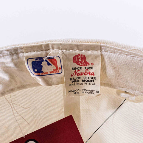 Minnesota Twins New Era Pro Model Snapback Hat