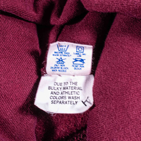 Champion Reverse Weave Warmup Hoodie Lafayette