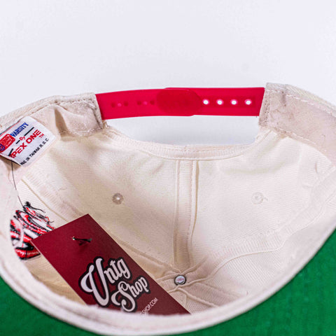 Indiana Hoosiers Apex One Script Snapback Hat