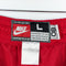 NIKE Rewind NBA New Jersey Nets Basketball Shorts