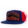 AJD Florida Panthers Double Line Snapback Hat