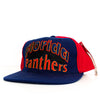 AJD Florida Panthers Double Line Snapback Hat
