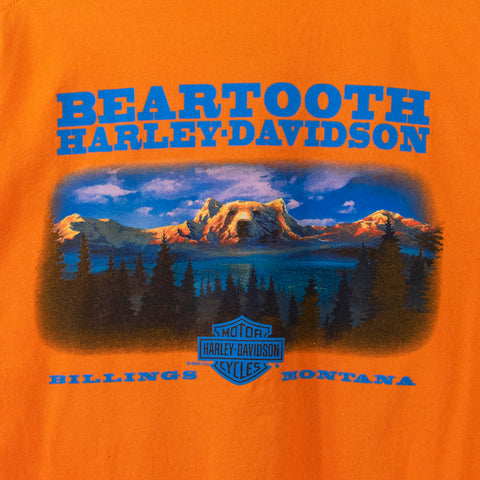 2003 Beartooth Harley Davidson T-Shirt