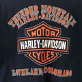 Harley Davidson Colorado Flame Bike T-Shirt