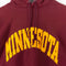 Champion Reverse Weave Minnesota Hoodie Sweatshirt