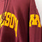 Champion Reverse Weave Minnesota Hoodie Sweatshirt
