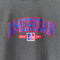 Champion American University Sweatshirt