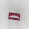 1995 Cornell University Baseball Thrashed T-Shirt