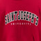 Champion Saint Joseph's University Hoodie Sweatshirt