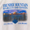 2000 Harley Davidson Thunder Mountain Eagle Wolf Bear T-Shirt