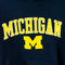 Champion University Of Michigan Hoodie Sweatshirt