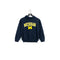 Champion University Of Michigan Hoodie Sweatshirt