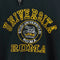Universita Roma University of Rome Embroidered Hoodie Sweatshirt