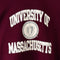 Champion University of Massachusetts Amherst Hoodie Sweatshirt