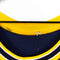 Champion University of Michigan Chris Webber #4 Blank Template Jersey