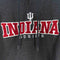 Champion Indiana University Hoosiers Hoodie Sweatshirt