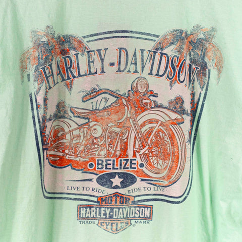 Harley Davidson Motorcycles Belize T-Shirt