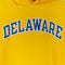 Champion Delaware Hoodie Sweatshirt