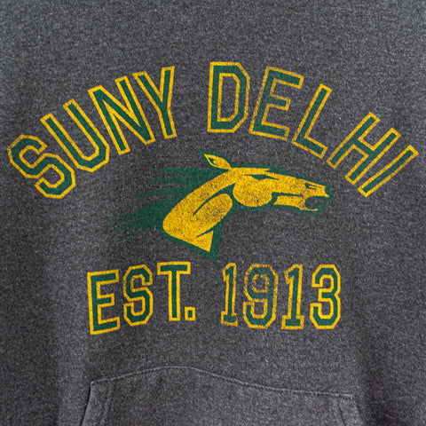 Champion SUNY Delhi Est 1913 Hoodie Sweatshirt