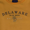 University of Delaware Blue Hens Embroidered Sweatshirt