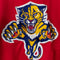 90s Florida Panthers CCM Hockey Jersey