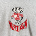 LEE Wisconsin Badgers Spell Out Hoodie Sweatshirt