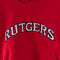 Steve & Barry's Rutgers University Embroidered Spell Out Hoodie Sweatshirt