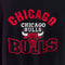 The Game Chicago Bulls Embroidered Color Block Sweatshirt