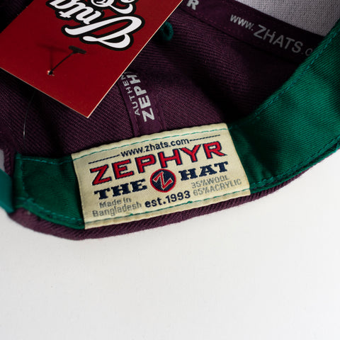 2013 Zephyr Anaheim Mighty Ducks Snap Back