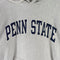 Champion Reverse Weave Penn State Hoodie Sweatshirt