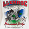 1996 Delta Phi Llenroc Hurricane Party T-Shirt